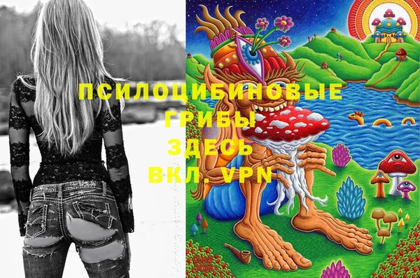 2c-b Белокуриха